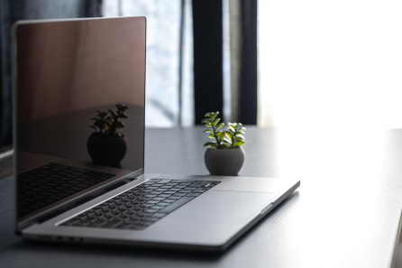 Декларация по НДС может измениться