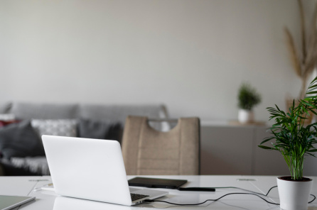 Предложено разрешить родителям работать удаленно в период каникул