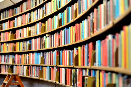 У коммерсантов запросят меньше документов