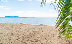 Может ли сотрудник прервать отпуск по своей инициативе? 